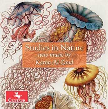 Album Al-zand / Roitstein / Hauschildt: Studies In Nature