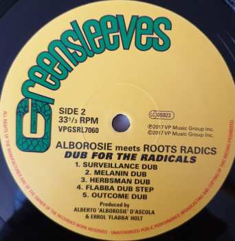 LP The Roots Radics: Dub For The Radicals