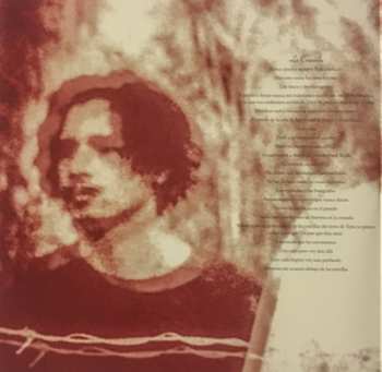 2LP Alejandro Escovedo: La Cruzada CLR | LTD