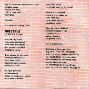 CD Aleš Brichta: American Bull (New Edition)