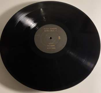 2LP Alex Somers: Siblings 2