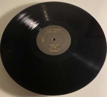 2LP Alex Somers: Siblings 2