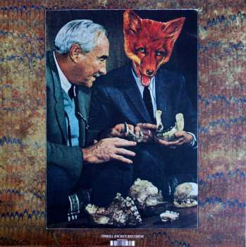 LP Alexander Tucker: Dorwytch
