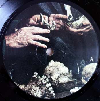 LP Alexander Tucker: Dorwytch
