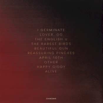 CD Alison Moyet: Other