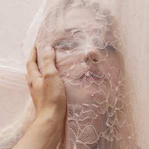 Album Alison Sudol: Still Come The Night