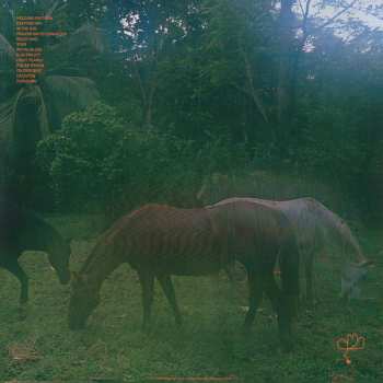 LP Allah-Las: LAHS