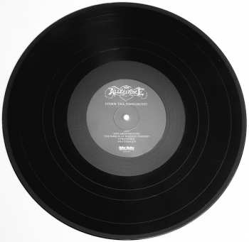 3LP/Set di cofanetti Allegiance: Complete Album Anthology  LTD