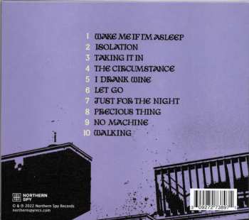 CD Allegra Krieger: Precious Thing