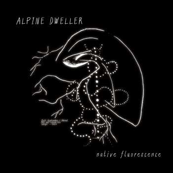 LP ALPINE DWELLER: Native Fluorescence