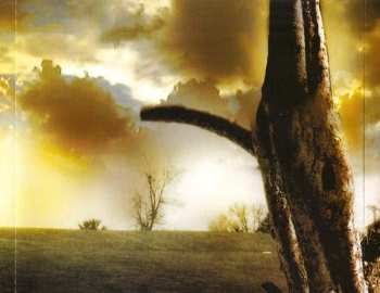 CD Amaran: A World Depraved