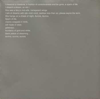 CD Amber Asylum: Frozen In Amber