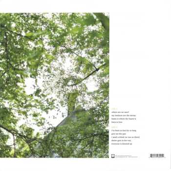 LP American Football: American Football CLR