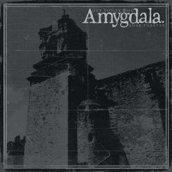 LP Amygdala: Our Voices Will Soar Forever