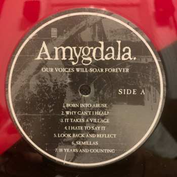 LP Amygdala: Our Voices Will Soar Forever