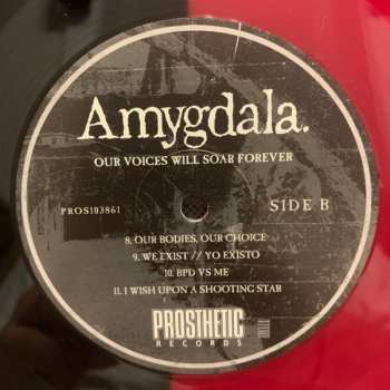 LP Amygdala: Our Voices Will Soar Forever