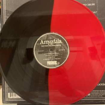 LP Amygdala: Our Voices Will Soar Forever