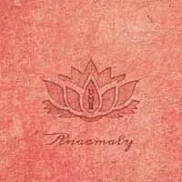 Anaamaly: Urban Metta, Vol. 2
