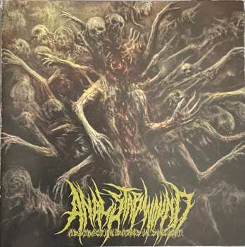 Album Anal Stabwound: Abstraction Bathes In Sunlight