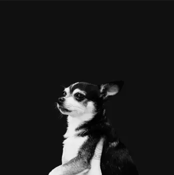 When This Life is Over