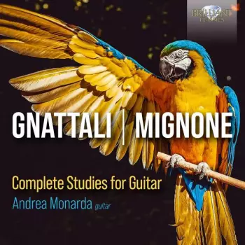 Gitarrenwerke