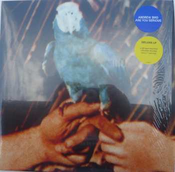 LP/SP Andrew Bird: Are You Serious DLX | LTD | CLR