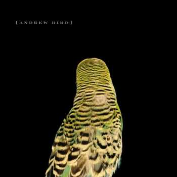 CD Andrew Bird: Armchair Apocrypha