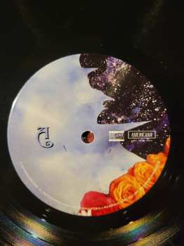 LP Andy Falco: The Will of the Way