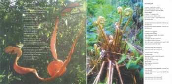 CD Andy Jackson: Signal To Noise