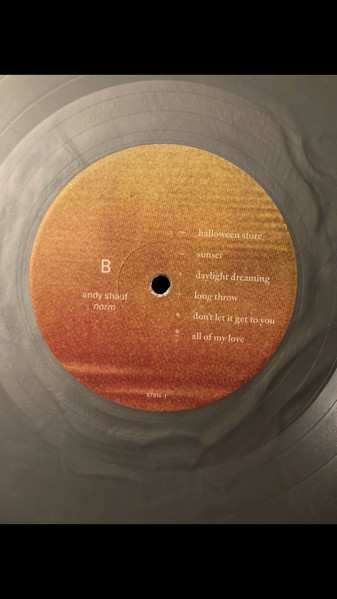 LP Andy Shauf: Norm LTD