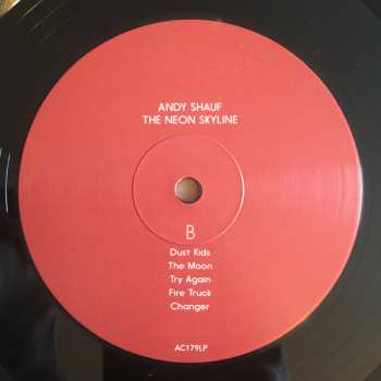LP Andy Shauf: The Neon Skyline
