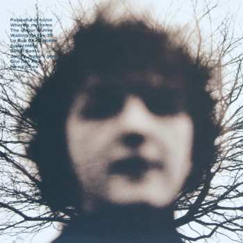 12CD/Set di cofanetti Andy White: Studio Albums 1986-2016