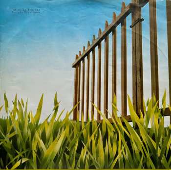 LP Angelo Branduardi: Cogli La Prima Mela