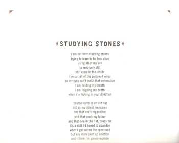 CD Ani DiFranco: Knuckle Down