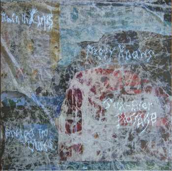 LP Animal Collective: Bridge To Quiet LTD
