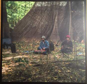 LP Animal Collective: Meeting Of The Waters LTD