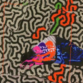 Album Animal Collective: Tangerine Reef