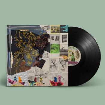 2LP Animal Collective: Time Skiffs