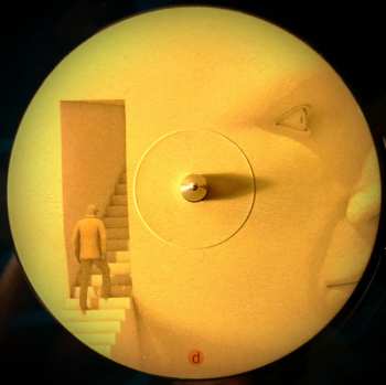 2LP Animals As Leaders: The Madness Of Many CLR | LTD