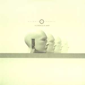 2LP Animals As Leaders: The Madness Of Many CLR | LTD