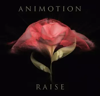 Raise