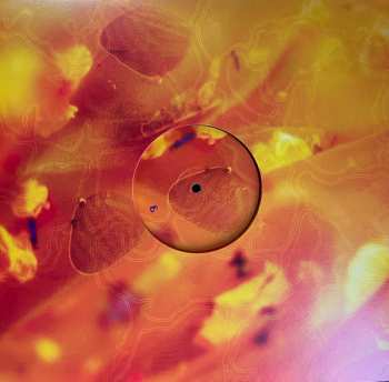 LP Anna B Savage: In|Flux LTD | CLR