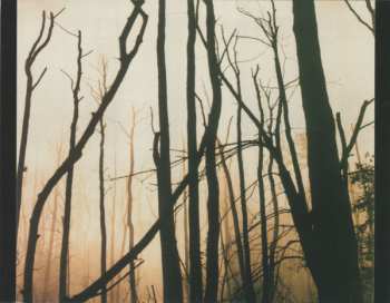 CD Anna Maria Jopek: Bosa