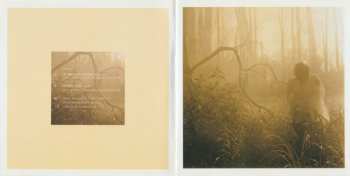 CD Anna Maria Jopek: Bosa