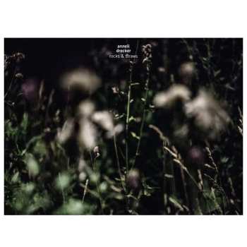 CD Anneli Drecker: Rocks & Straws