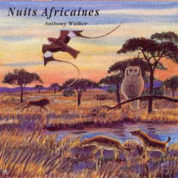 Album Anthony Walker: Nuits Africaines / African Sounds At Dusk