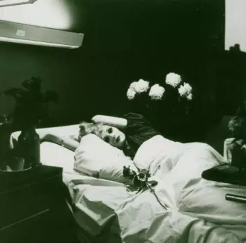 Antony And The Johnsons: I Am A Bird Now