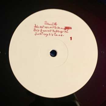 LP Antony And The Johnsons: I Am A Bird Now