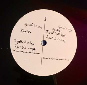 LP Antony And The Johnsons: I Am A Bird Now