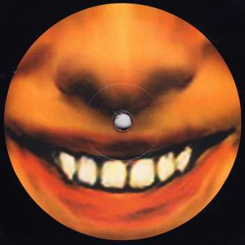2LP Aphex Twin: ...I Care Because You Do